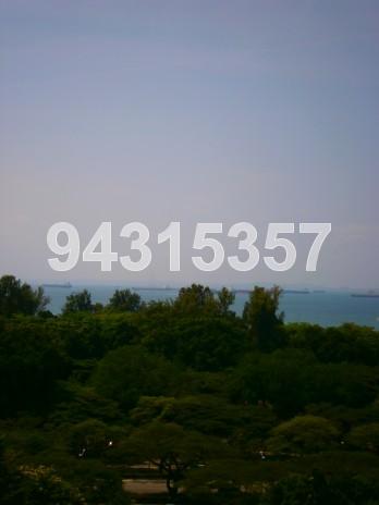 Cote D'Azur (D15), Condominium #81892912